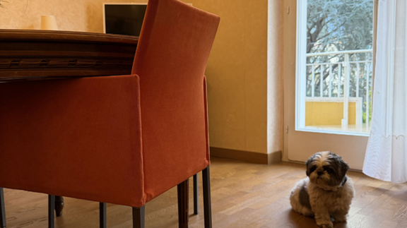 Ihr Zuhause auf Zeit im Herzen von Meran Ihr Zuhause auf Zeit im Herzen von Meran